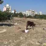 WhatsApp Image 2023-09-16 at 00.39.47