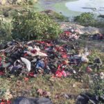 WhatsApp Image 2023-09-16 at 01.00.11